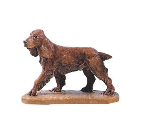 Cocker Spaniel