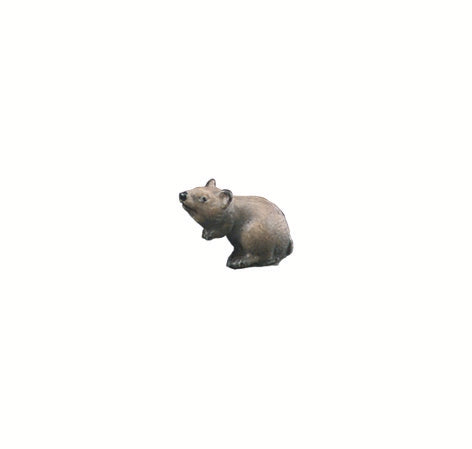 Mysz