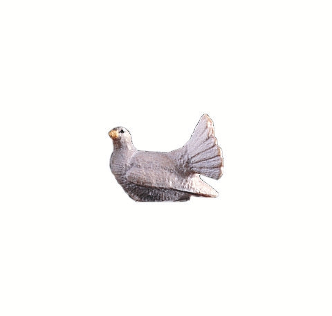 Gołąb