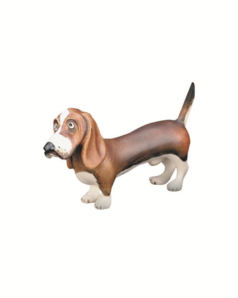 Pies basset hound